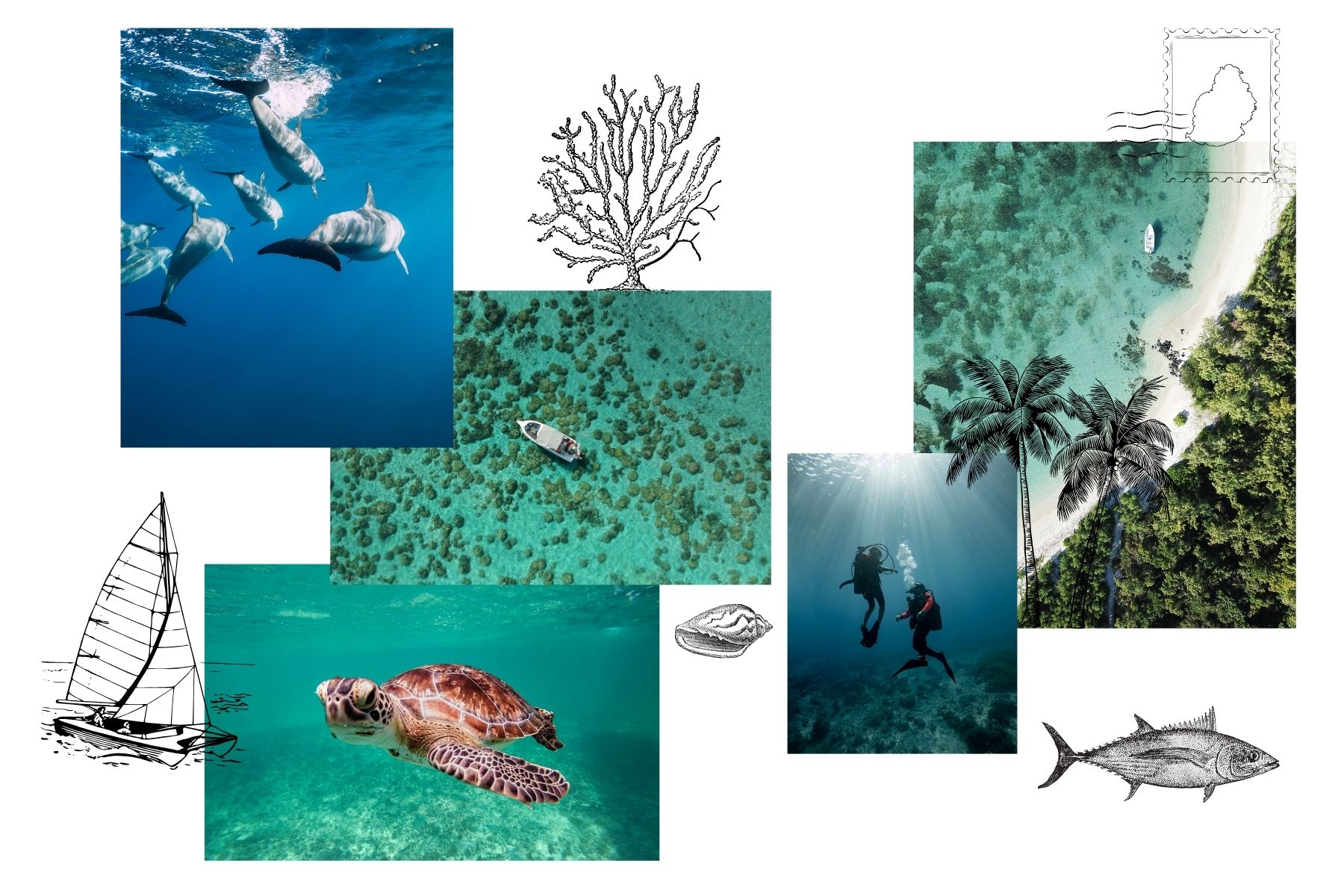 Evasea_Conciegerie_50